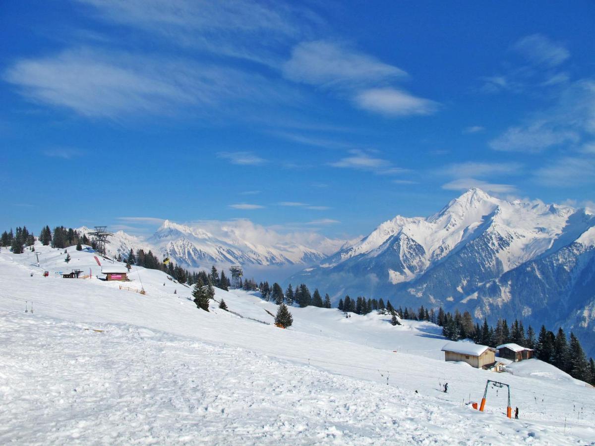 Apartment Rosa-8 By Interhome Mayrhofen